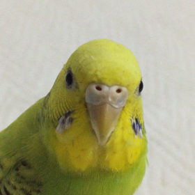 英才教育♪の画像