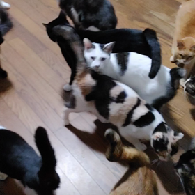 今年もお世話になりました。。の画像