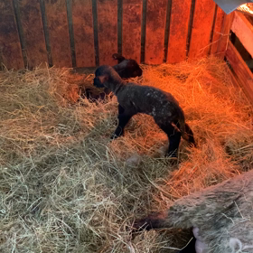 今日はどこへ行こうかなの画像