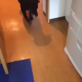 翁・わくわくの画像