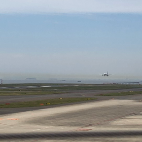 ANAの離着陸訓練の画像