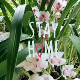 五十代以上は…覚悟の画像