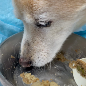 今日のみかん（緊急事態）の画像