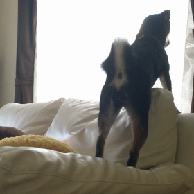 雪の声♡の画像