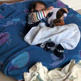 【5m22d】ワンワンと遊ぶ！の画像