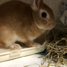 モカッ記 2018-13の画像