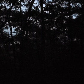 今朝の茶臼山2の画像