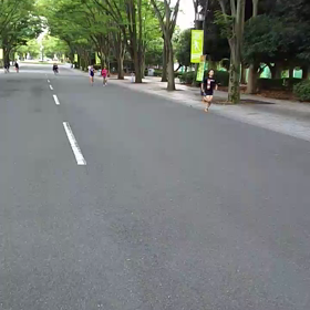 練習報告の画像