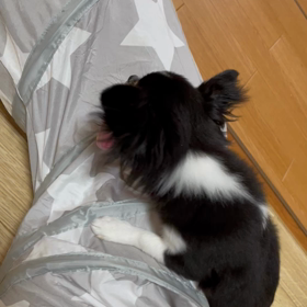 私の宝物❤️❤️の画像