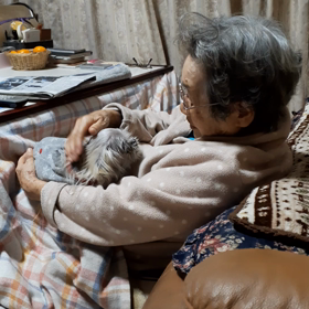 再び　”抱っこ犬の季節”の画像