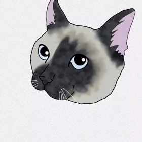 サンプル！ライトアートオーダー 動画の画像