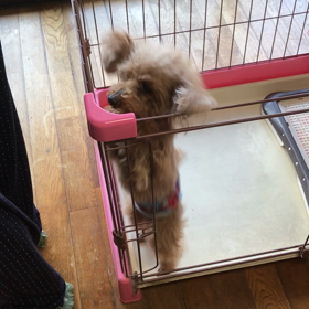 朝から元気です✨の画像