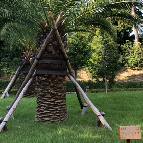 まるこさん！女神の好きなところ！の画像