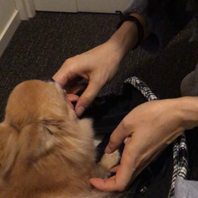 感動の再会‼️になると思ってたのに…（−＿−；）の画像