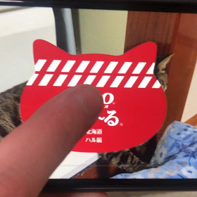 はる、ちゅーるCMの画像