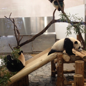 月と星と海と夫婦。よん。の画像