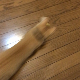 元気炸裂。の画像