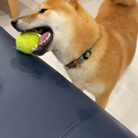 スローやってみた。の画像