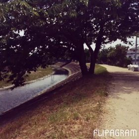 いつものランニングコースの画像