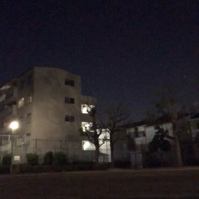 明日は定期ライブです！の画像