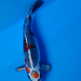 写真撮り中の画像