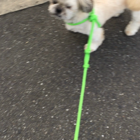 見れない動画の画像