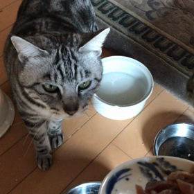 刺身のおそそわけの画像