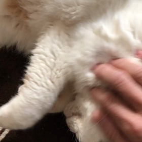 年越ししたら、19歳だよ！の画像