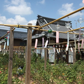 夏の風物詩^_^の画像