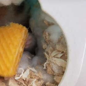 マックおやつタイムの画像