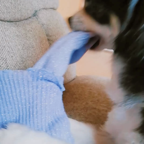 くぅの趣味。の画像