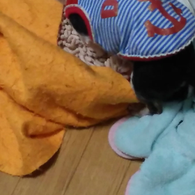 イライラしてんのかしら？の画像