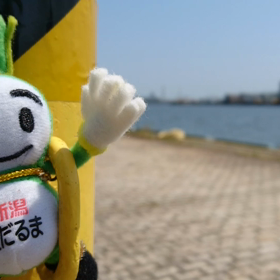 8/3の画像