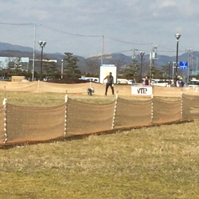 今日のワンコの画像