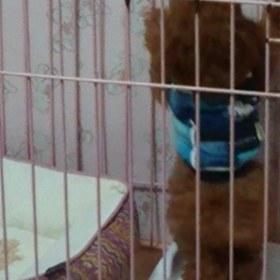 今日も病院へ・・☆の画像