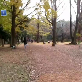 400mインターバル中間点①の画像