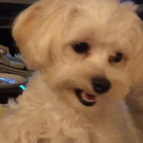 萌え萌え〜「何ですか？」～≧(´▽｀)≦の画像