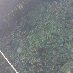 エンジン駆動の画像