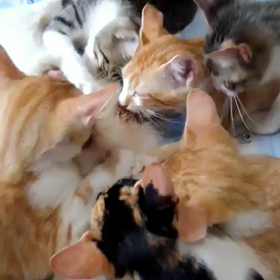 見たな‼️の画像