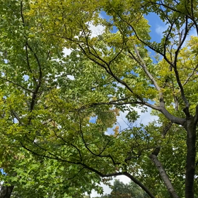 今朝の風景【2020年9月27日】の画像