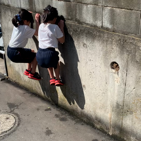 トレーニング日和の画像