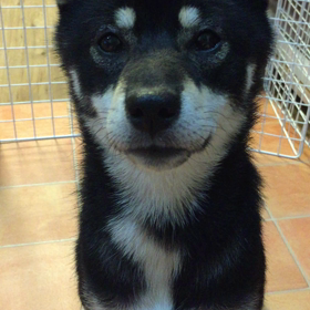 意地悪ママ！の画像