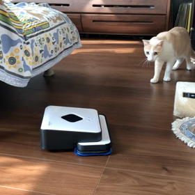 ライバル登場 ーiRobotの画像