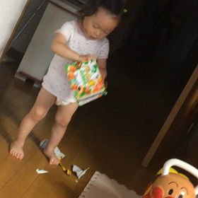 パイの実の画像