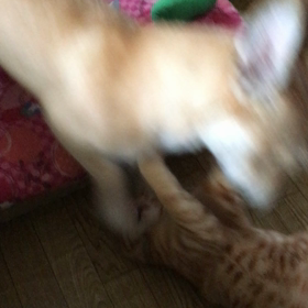 今朝の ふたり^ ^の画像