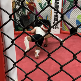 アマチュア格闘技の画像