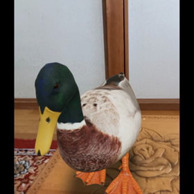 スマホ遊びの画像