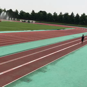 全国大会埼玉県合宿①の画像