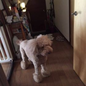 ふう〜〜の画像