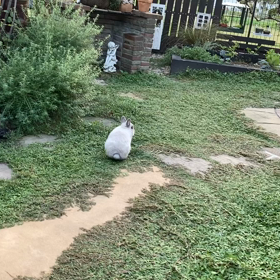 1人で楽しむのも2人で楽しむのも良しの画像